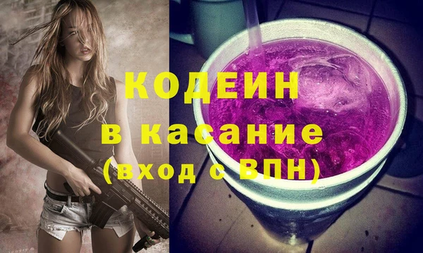 индика Вязьма