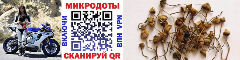 Галлюциногенные грибы MAGIC MUSHROOMS  ОМГ ОМГ маркетплейс  Мытищи 