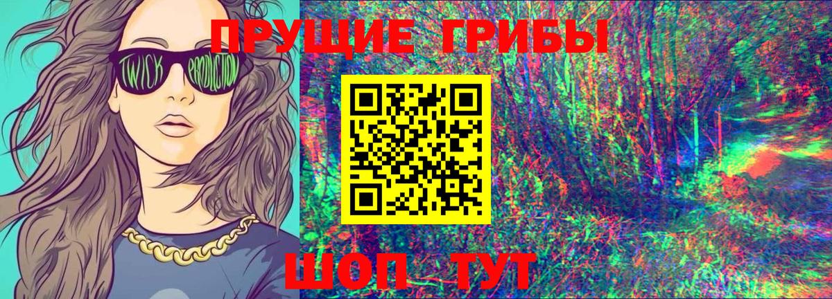 Галлюциногенные грибы Psilocybe Мытищи