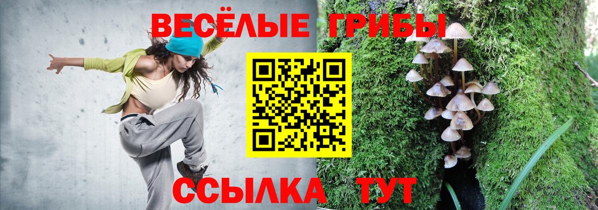 Псилоцибиновые грибы Psilocybe  Мытищи  Галлюциногенные грибы Psilocybe 