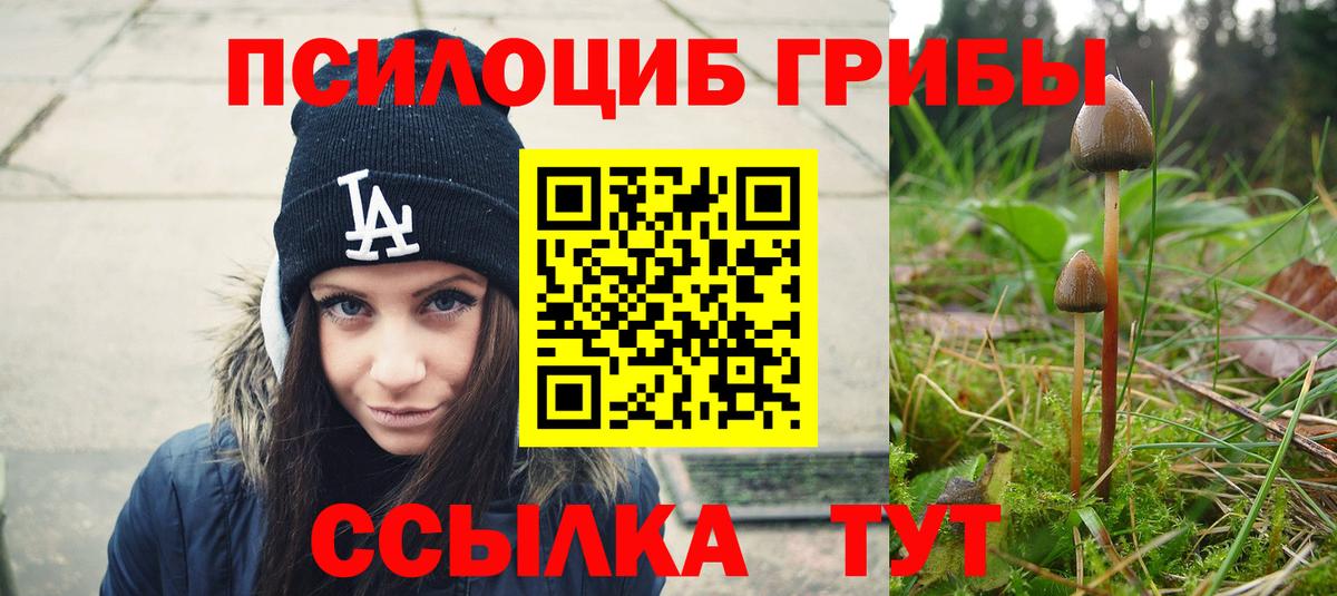 Псилоцибиновые грибы Psilocybine cubensis Мытищи