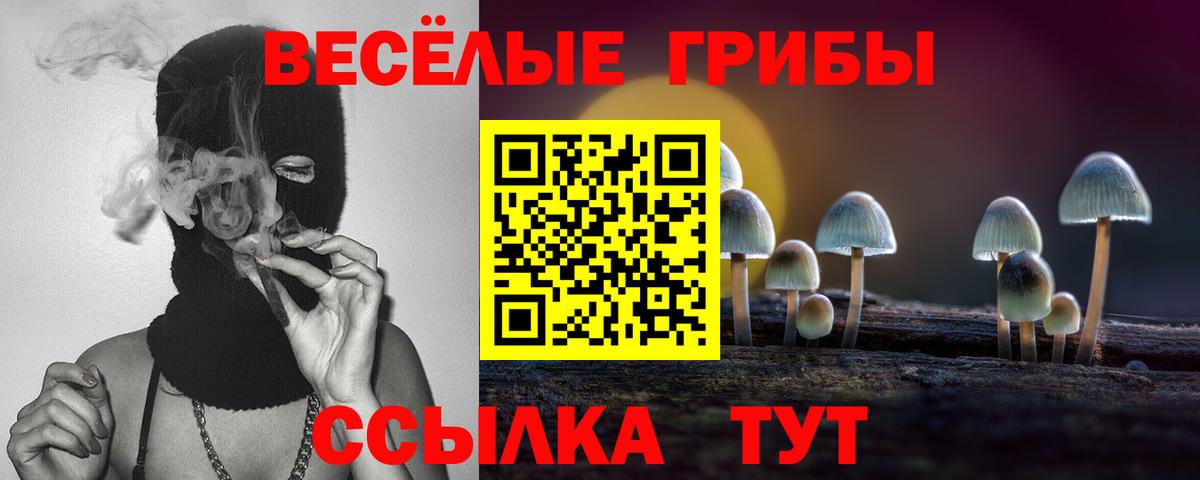 Мытищи  Галлюциногенные грибы ЛСД  купить   Вход с VPN 